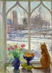 Ombres sur la neige et chat